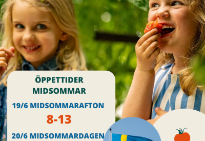 6 JUNI NATIONALDAGEN - 3
