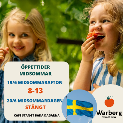 6 JUNI NATIONALDAGEN - 3