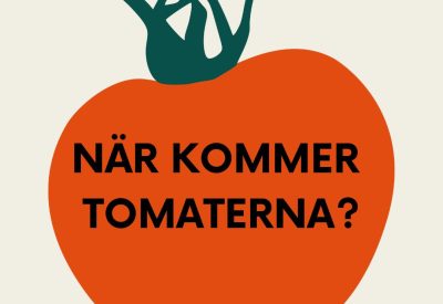 NÄR KOMMER TOMATERNA